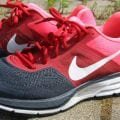 Nike-Air-Pegasus+-30-Medial-Side1